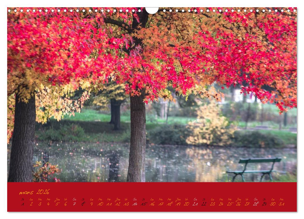 Un automne au Bois (CALVENDO Calendrier mensuel 2026)