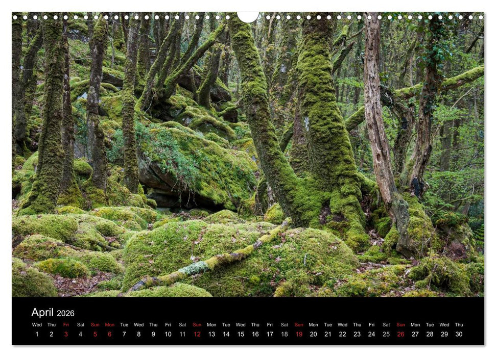 Scenes from Pembrokeshire (CALVENDO Monthly Calendar 2026)