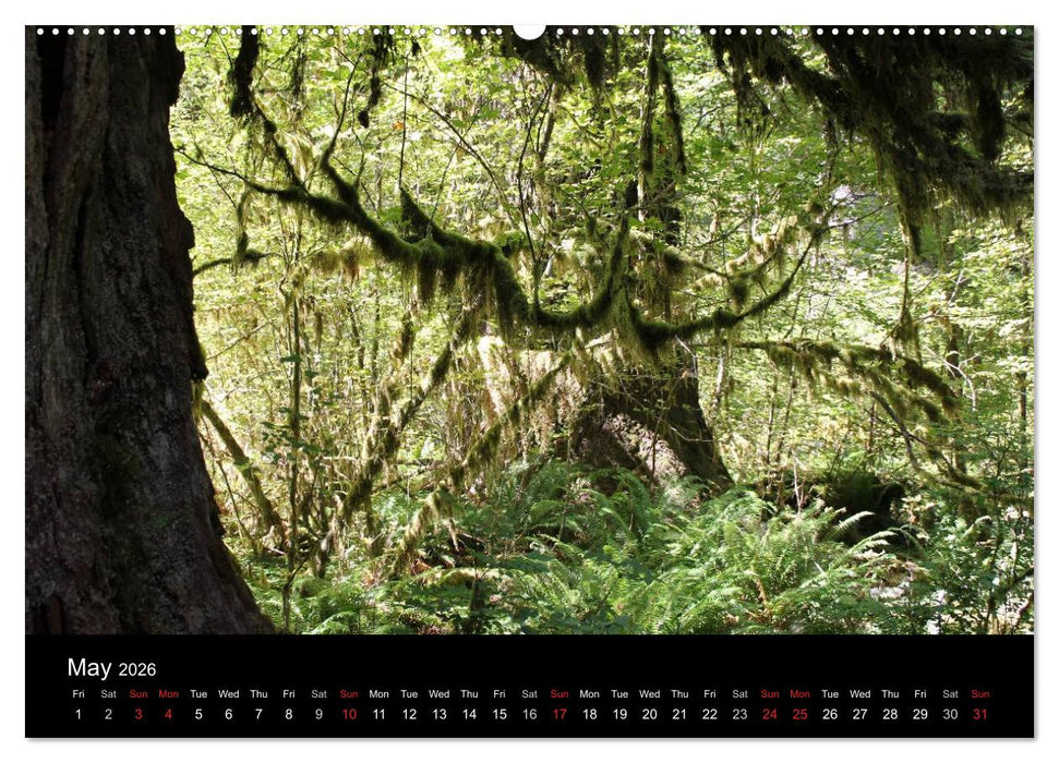 From Pacific to the Mountains 2026 (CALVENDO Premium-Calendar 2026)