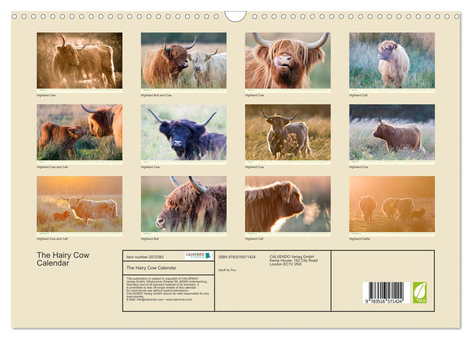 The Hairy Cow Calendar (CALVENDO Monthly Calendar 2026)