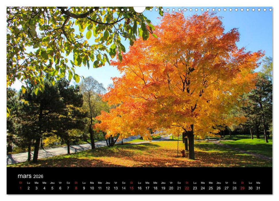 Paysages d'Automne au Québec (CALVENDO Calendrier mensuel 2026)