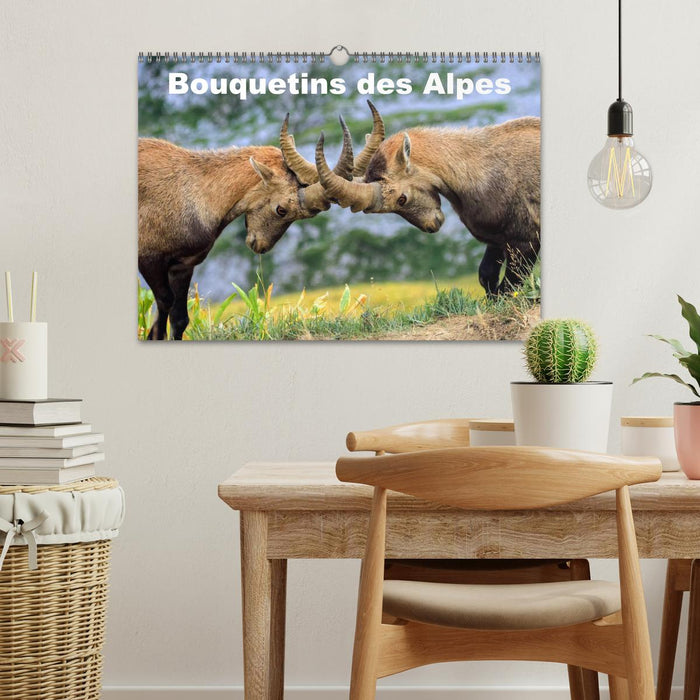 Bouquetins des Alpes (CALVENDO Calendrier mensuel 2026)