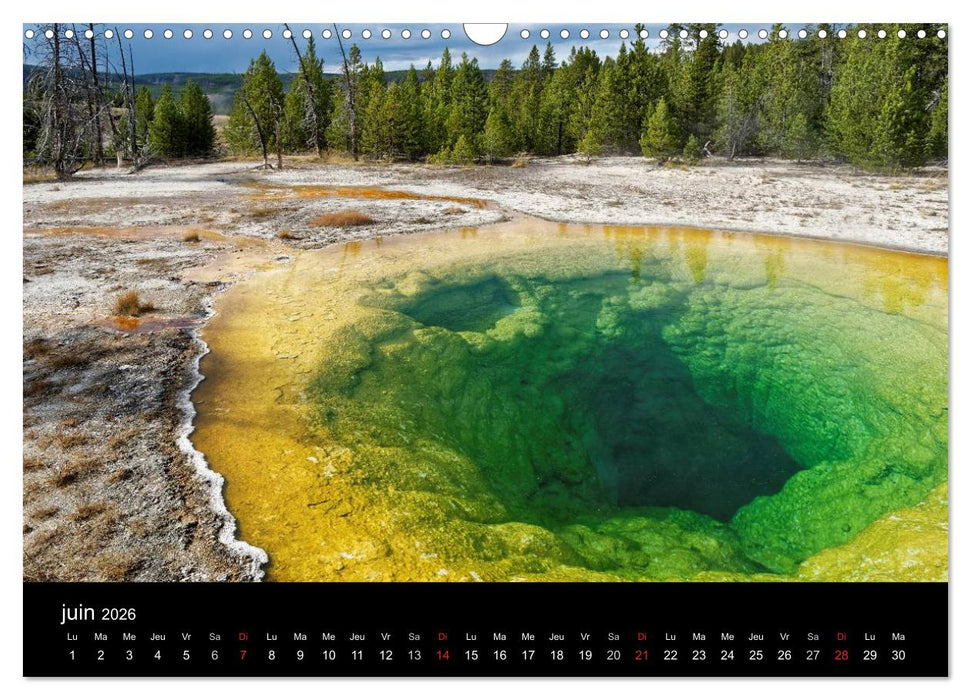 Yellowstone Un grand parc américain (CALVENDO Calendrier mensuel 2026)