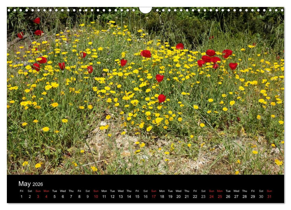 The Greek Island Of Ikaria (CALVENDO Monthly Calendar 2026)