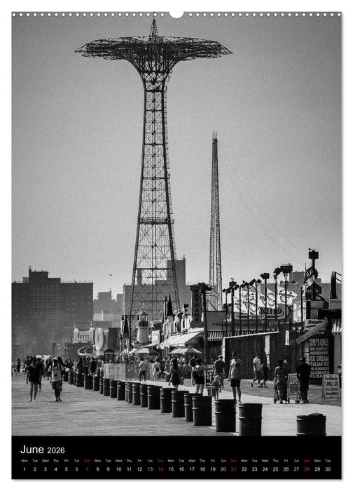 New York City (CALVENDO Premium-Calendar 2026)