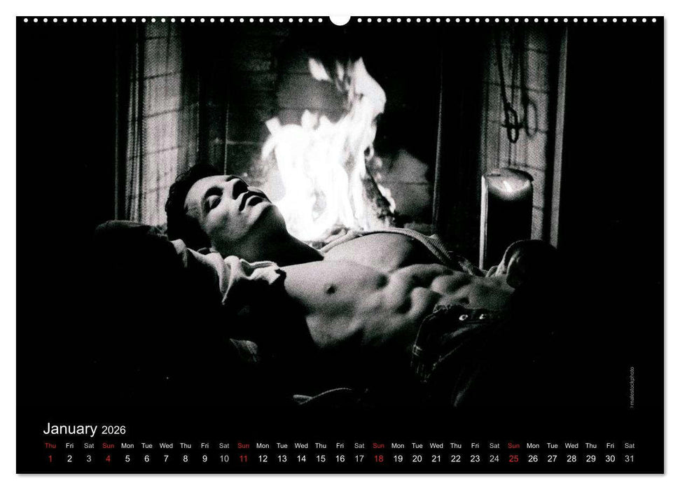 Dreaming Hunks 2026 (CALVENDO Premium-Calendar 2026)