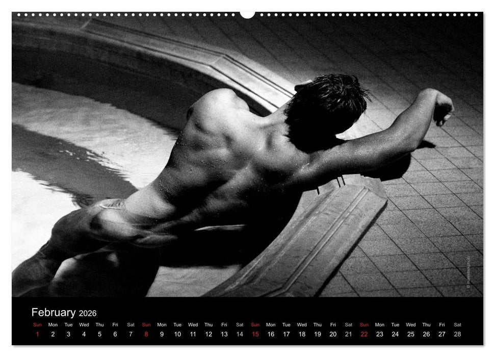 Dreaming Hunks 2026 (CALVENDO Premium-Calendar 2026)