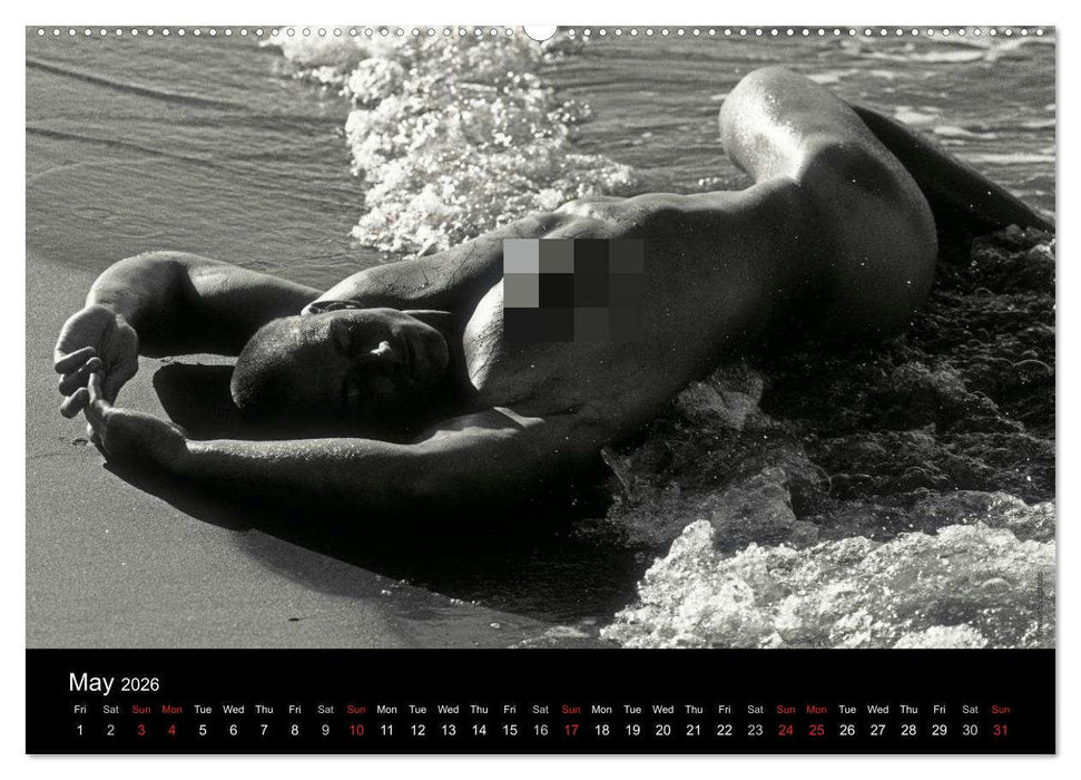 Dreaming Hunks 2026 (CALVENDO Premium-Calendar 2026)