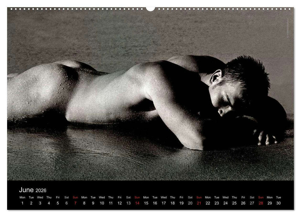 Dreaming Hunks 2026 (CALVENDO Premium-Calendar 2026)
