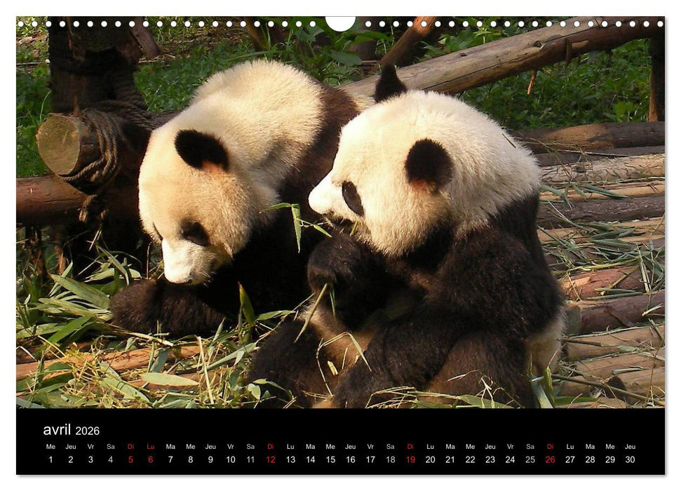 La Chine, Terre de merveilles (CALVENDO Calendrier mensuel 2026)