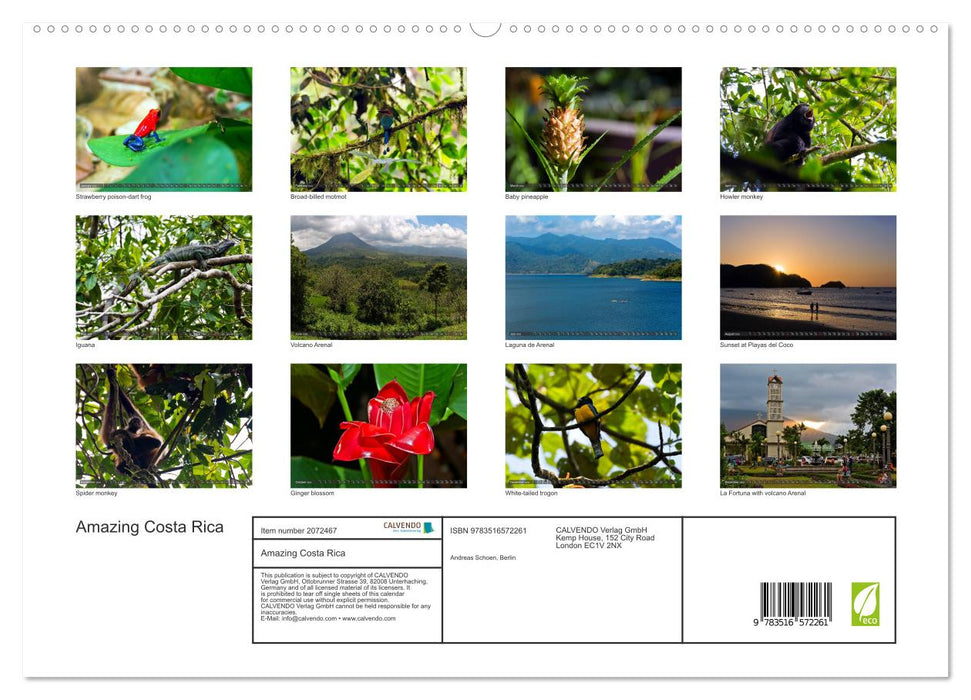 Amazing Costa Rica (CALVENDO Premium-Calendar 2026)