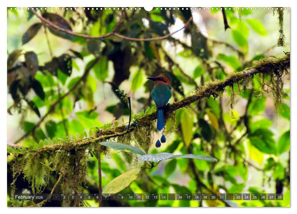 Amazing Costa Rica (CALVENDO Premium-Calendar 2026)