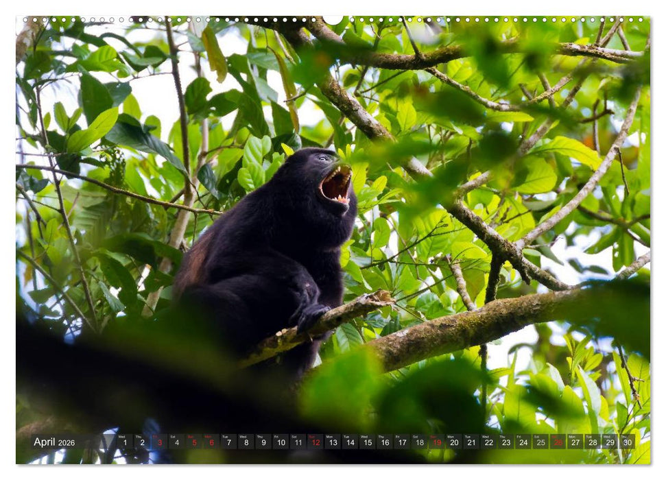 Amazing Costa Rica (CALVENDO Premium-Calendar 2026)