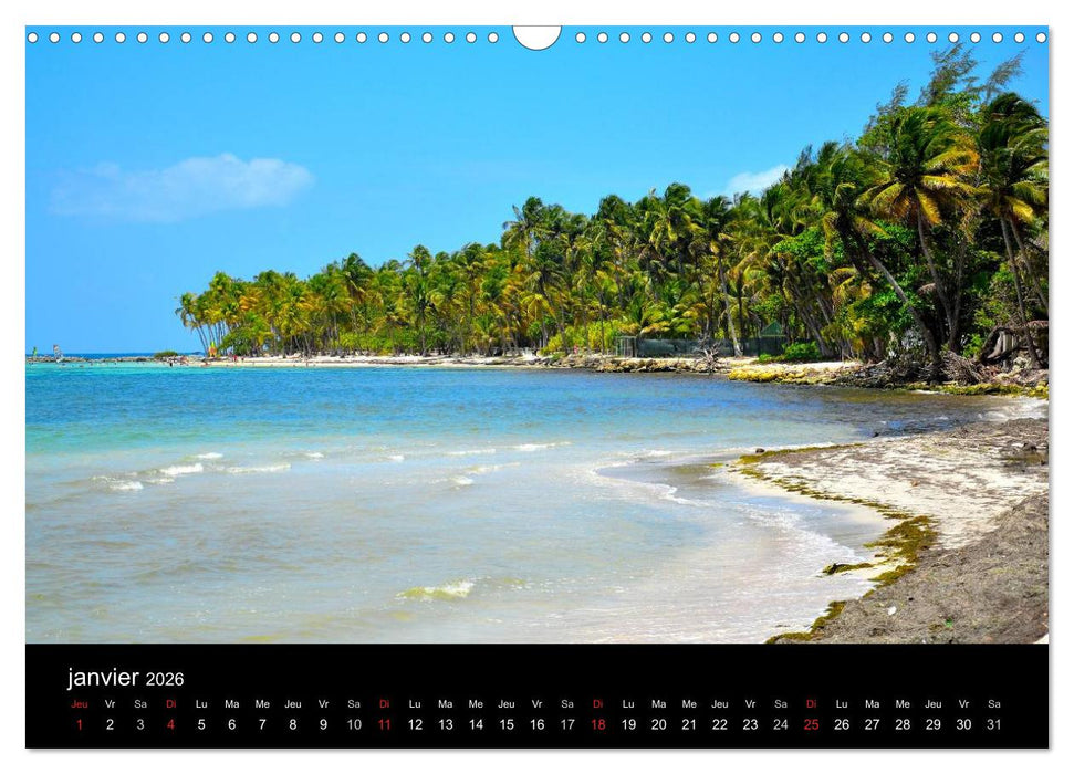 Paysages de Guadeloupe (CALVENDO Calendrier mensuel 2026)