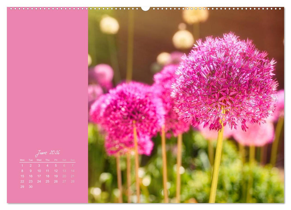Vibrancy of flowers (CALVENDO Premium-Calendar 2026)