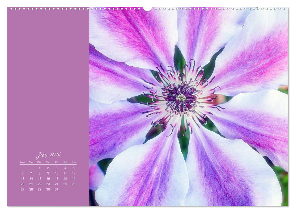Vibrancy of flowers (CALVENDO Premium-Calendar 2026)