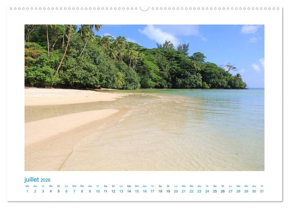 Polynésie française - des îles de rêve dans le Pacifique Sud (CALVENDO Calendrier supérieur 2026)