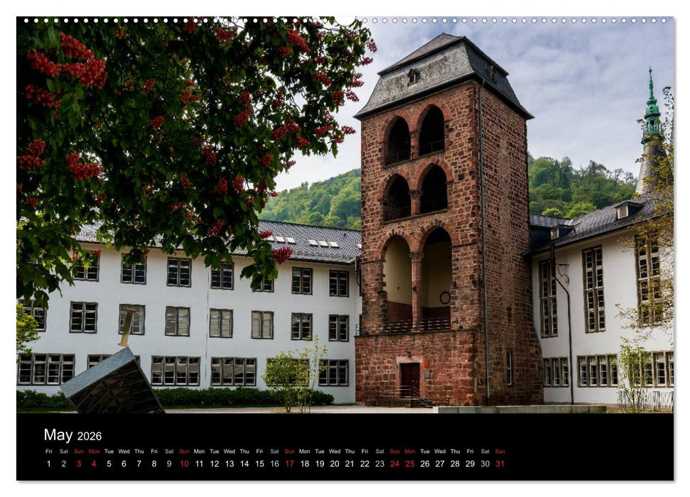 Heidelberg - Views of a City (CALVENDO Premium-Calendar 2026)