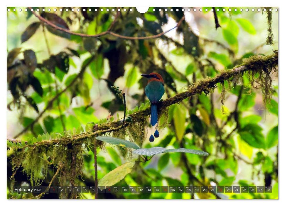 Amazing Costa Rica (CALVENDO Monthly Calendar 2026)