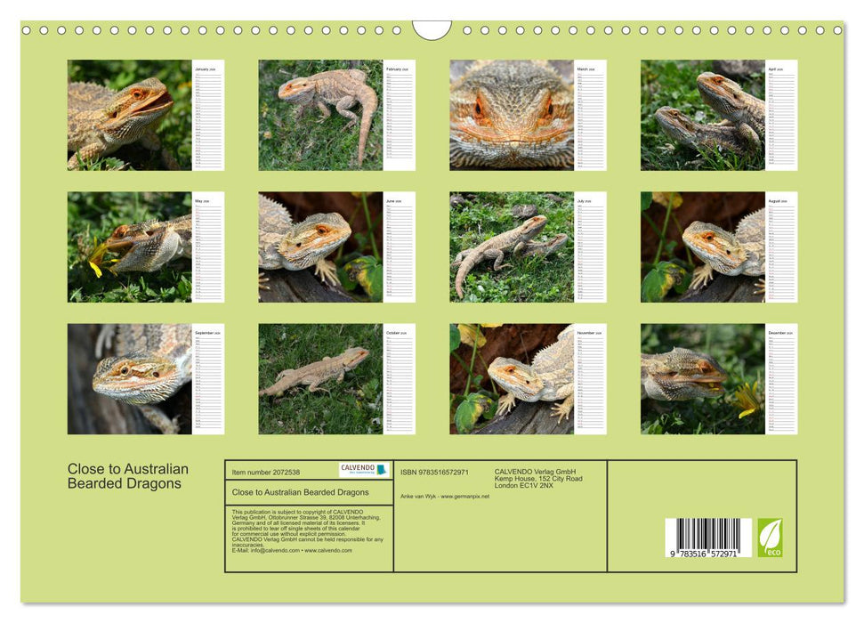 Close to Australian Bearded Dragons (CALVENDO Monthly Calendar 2026)