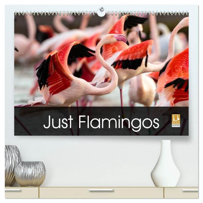 Just Flamingos (CALVENDO Premium-Calendar 2026)