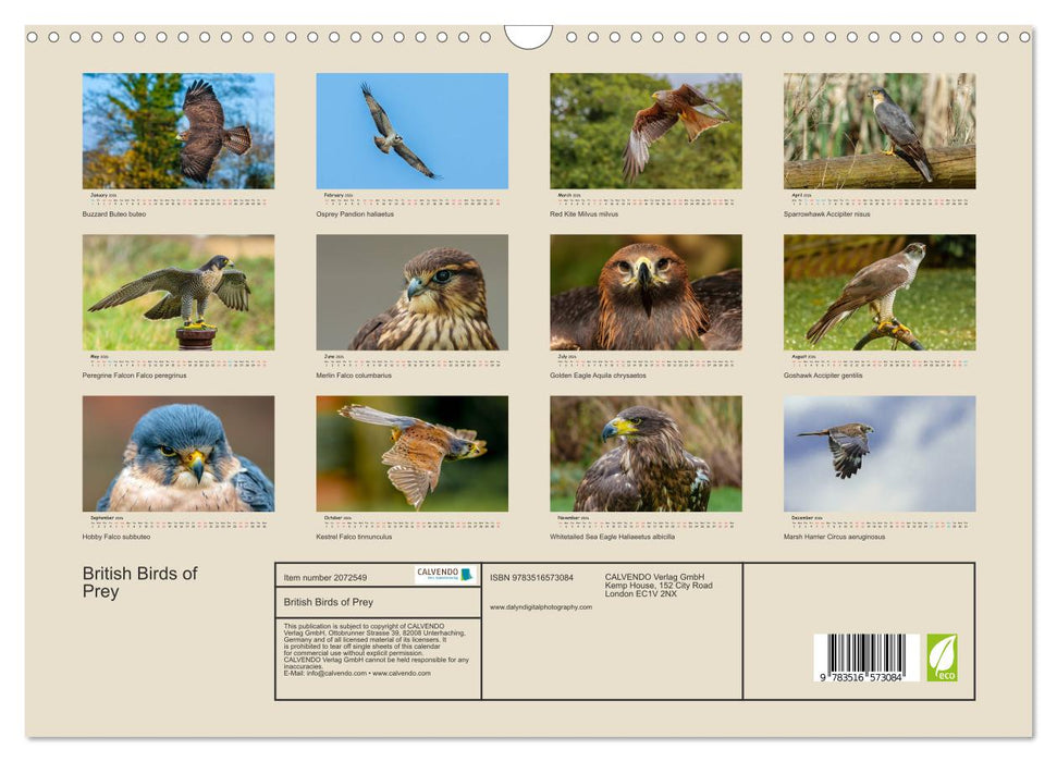 British Birds of Prey (CALVENDO Monthly Calendar 2026)
