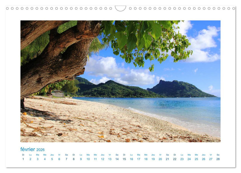 Polynésie française - des îles de rêve dans le Pacifique Sud (CALVENDO Calendrier mensuel 2026)