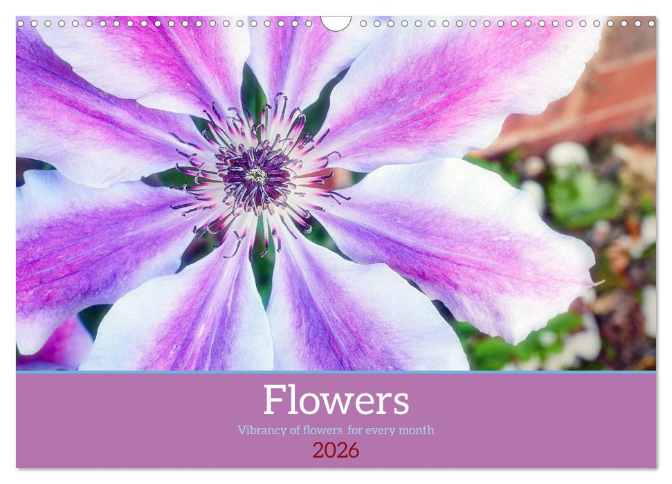 Vibrancy of flowers (CALVENDO Monthly Calendar 2026)