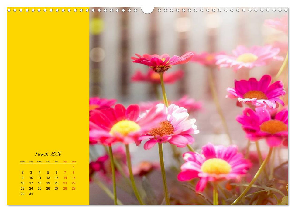 Vibrancy of flowers (CALVENDO Monthly Calendar 2026)