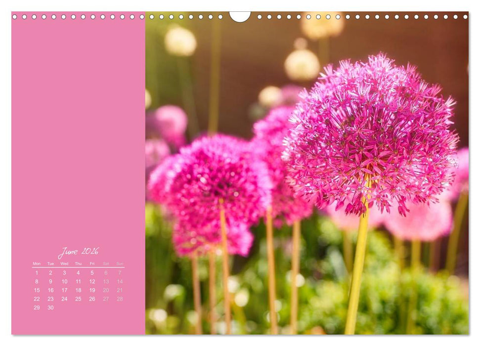 Vibrancy of flowers (CALVENDO Monthly Calendar 2026)