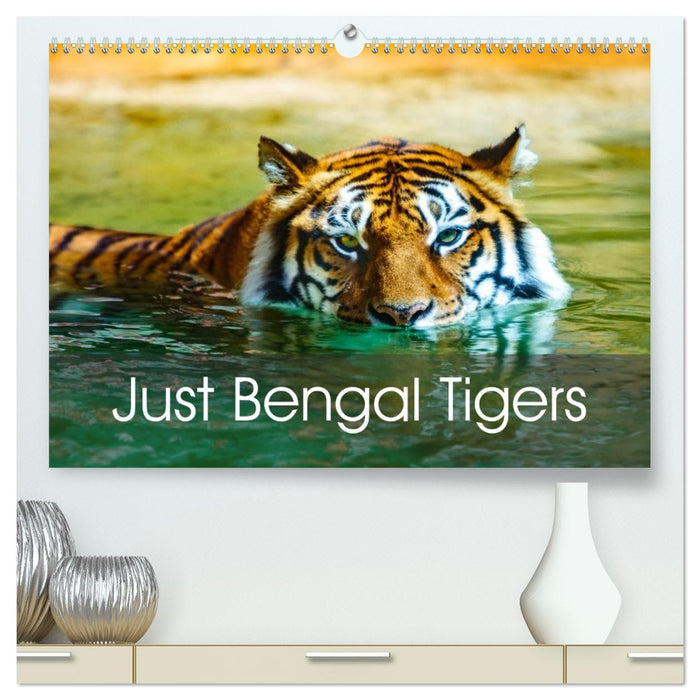 Just Bengal Tigers (CALVENDO Premium-Calendar 2026)