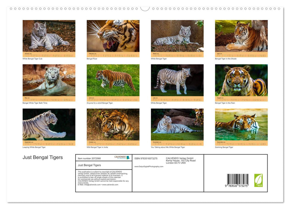 Just Bengal Tigers (CALVENDO Premium-Calendar 2026)