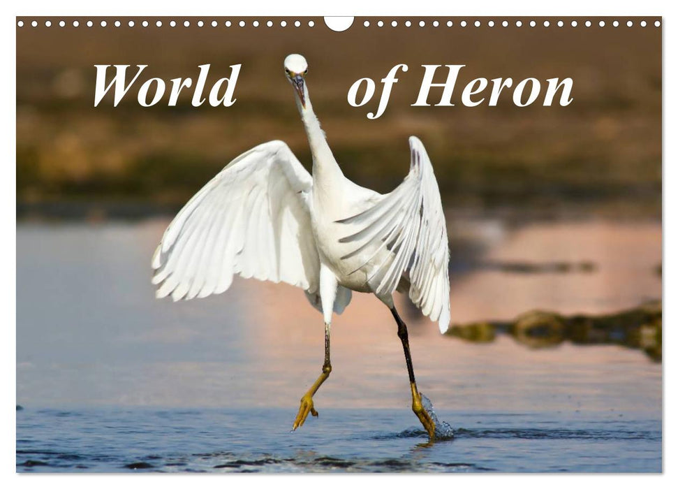World of Heron (CALVENDO Monthly Calendar 2026)