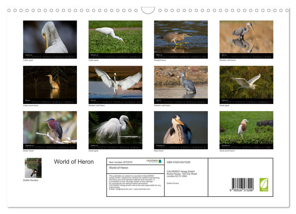 World of Heron (CALVENDO Monthly Calendar 2026)