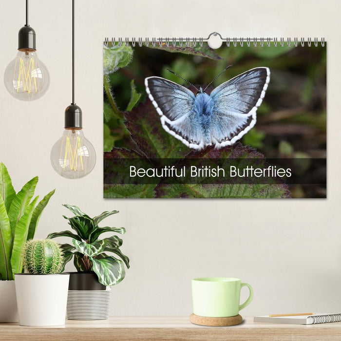 Beautiful British Butterflies (CALVENDO Monthly Calendar 2026)