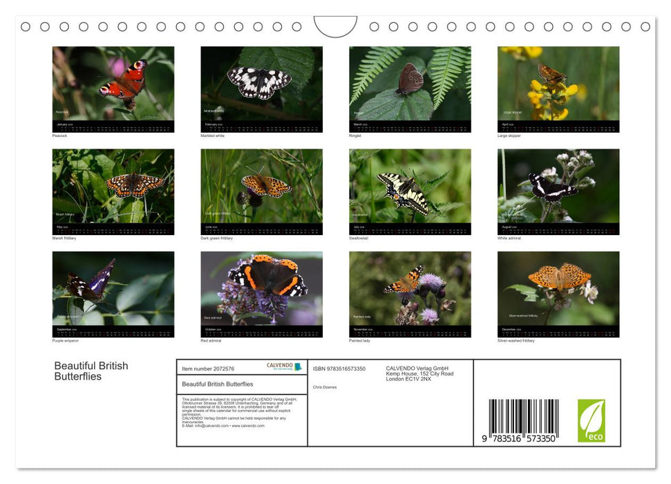 Beautiful British Butterflies (CALVENDO Monthly Calendar 2026)