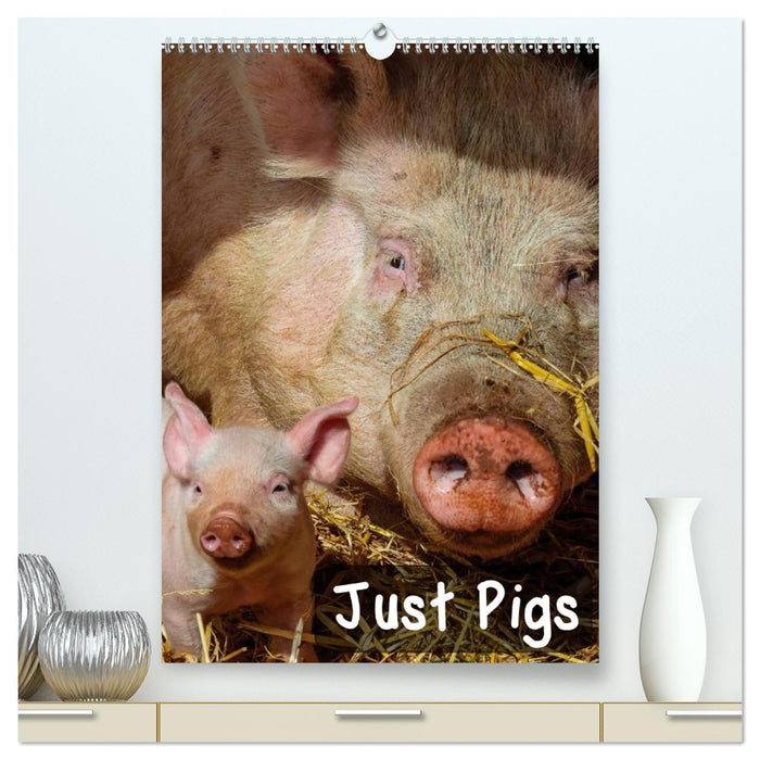 Just Pigs (CALVENDO Premium-Calendar 2026)