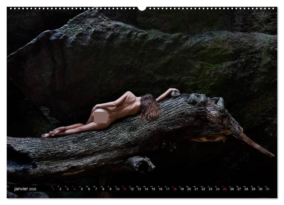 Saint-Tropez Les paysages et le nu (CALVENDO Calendrier supérieur 2026)