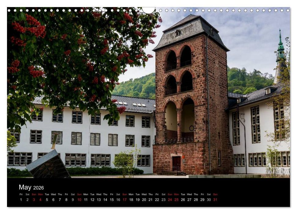 Heidelberg - Views of a City (CALVENDO Monthly Calendar 2026)