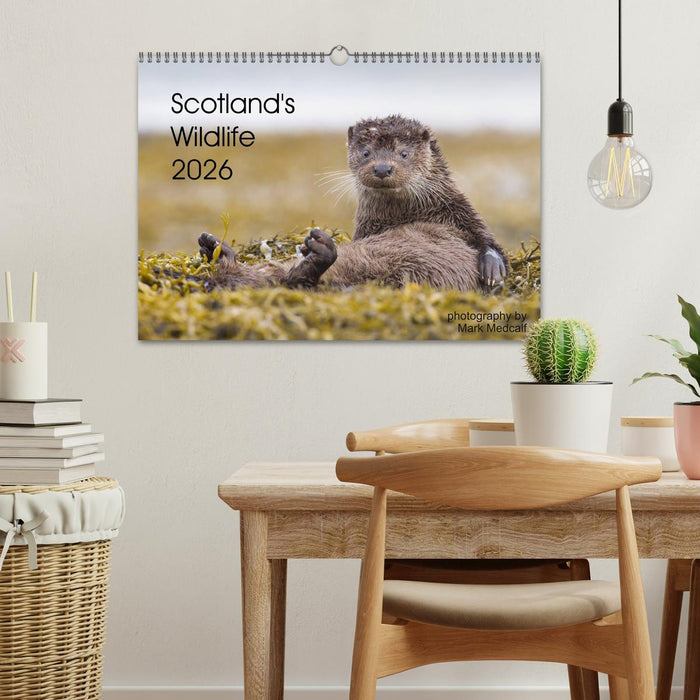 Scotland's Wildlife 2026 (CALVENDO Monthly Calendar 2026)