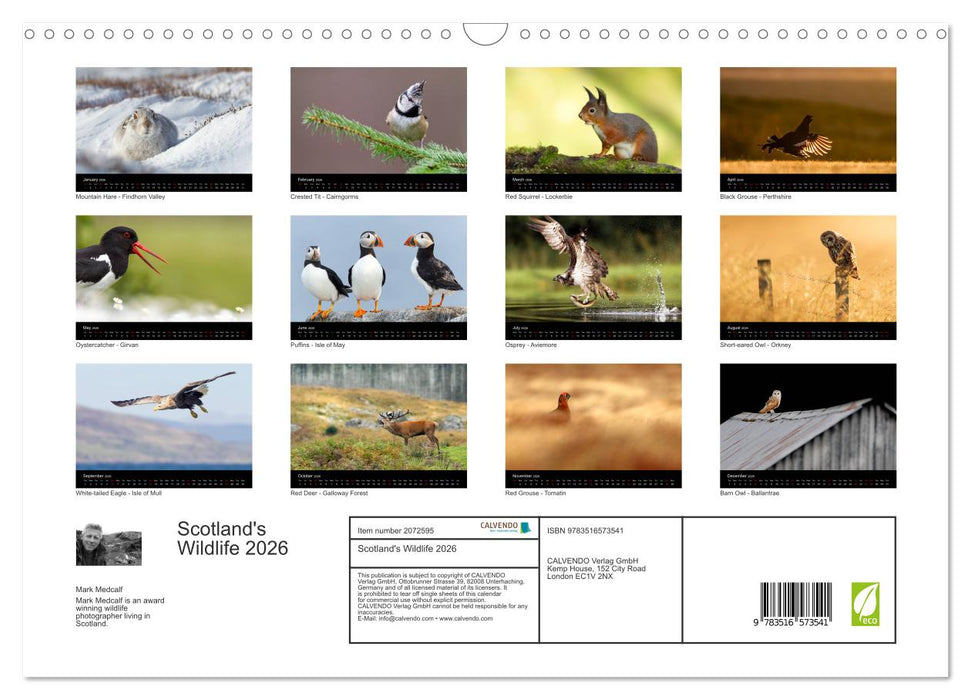 Scotland's Wildlife 2026 (CALVENDO Monthly Calendar 2026)