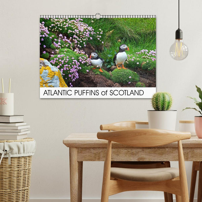 ATLANTIC PUFFINS OF SCOTLAND (CALVENDO Monthly Calendar 2026)