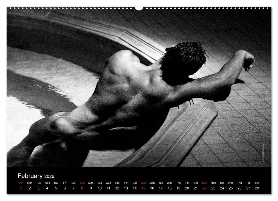 Dreaming Hunks 2026 (CALVENDO Monthly Calendar 2026)