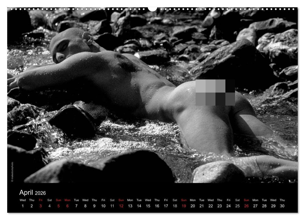 Dreaming Hunks 2026 (CALVENDO Monthly Calendar 2026)