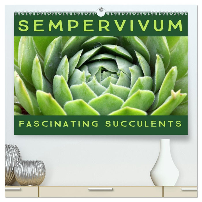 Sempervivum Fascinating Succulents (CALVENDO Premium-Calendar 2026)