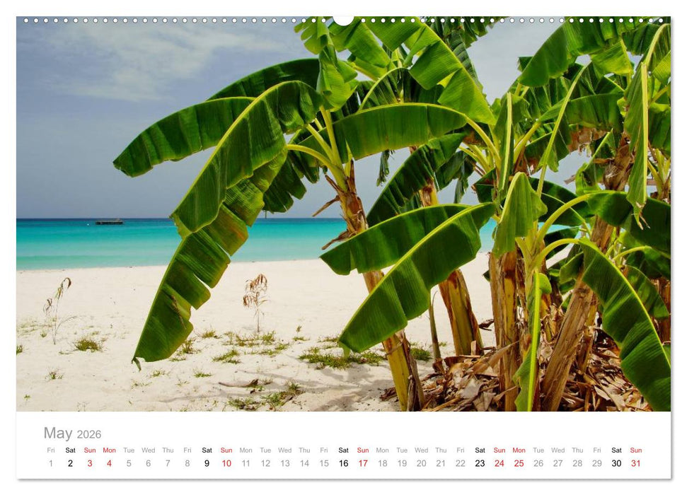 JAMAICA Reggae and the natural paradise (CALVENDO Premium-Calendar 2026)