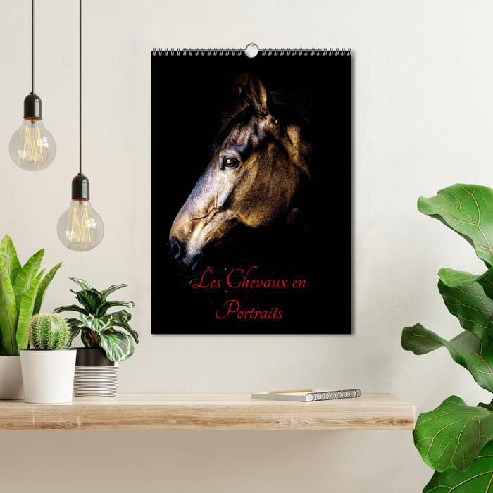 Chevaux en Portraits (CALVENDO Calendrier mensuel 2026)