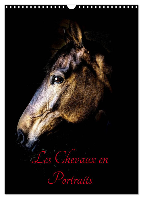 Chevaux en Portraits (CALVENDO Calendrier mensuel 2026)