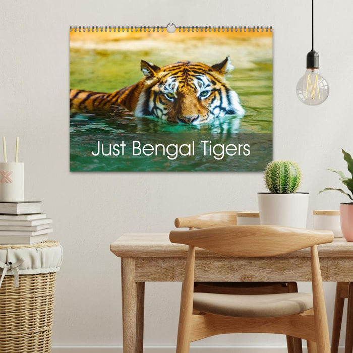 Just Bengal Tigers (CALVENDO Monthly Calendar 2026)