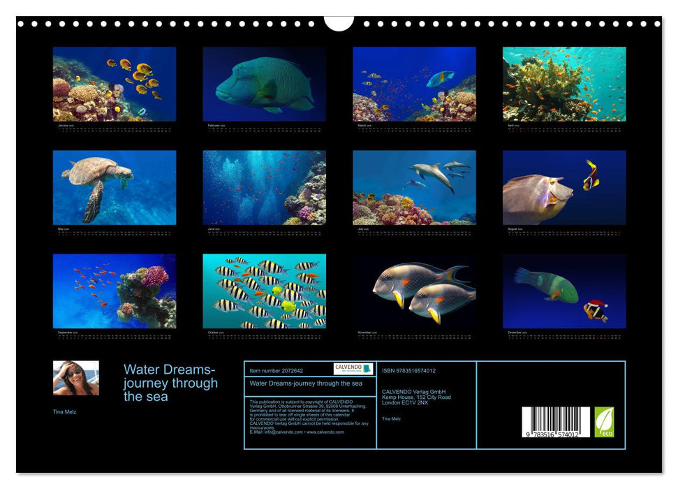 Water Dreams-journey through the sea (CALVENDO Monthly Calendar 2026)